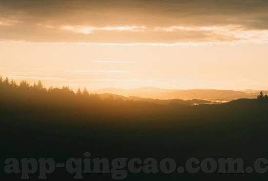 91制片厂制作果冻传媒星-91制片厂与果冻传媒，星辉下的创意交融