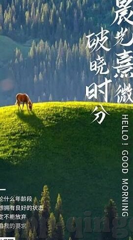 99一区二区三区精品人妻-探索成人内容平台的多元化与界限，99一区二区三区精品人妻的背后