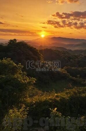 成人视频在线播放网站-成人视频在线播放网站，信息时代的双刃剑