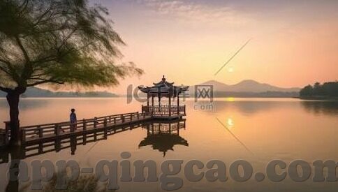 成人在色线视频在线观看-成人内容与网络安全的边界，理性探讨与自我保护