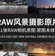陈可心麻豆传媒-解析陈可心与麻豆传媒的互联网络迷局