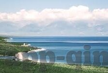 麻豆91入口-揭开网络迷雾，深入了解麻豆91入口及其周边现象的深度观察