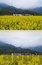 麻豆文化传媒招聘吗-麻豆文化传媒，创意与激情的集结地——正等待您的加入