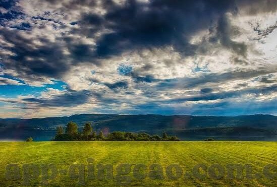 日韩欧美av在线观看-探索成人娱乐内容的多元视角，日韩欧美AV的在线体验