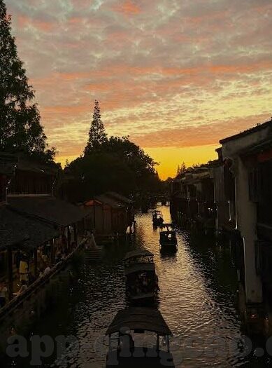 郑州大象传媒-郑州大象传媒，文化传播的桥梁与时代脉动的见证